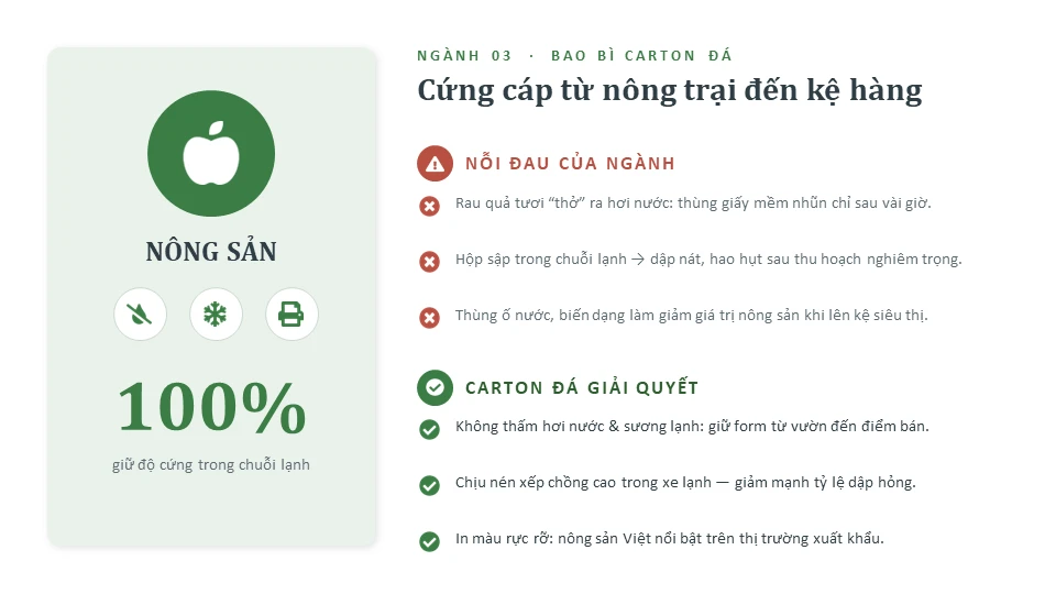 Hộp carton nông sản